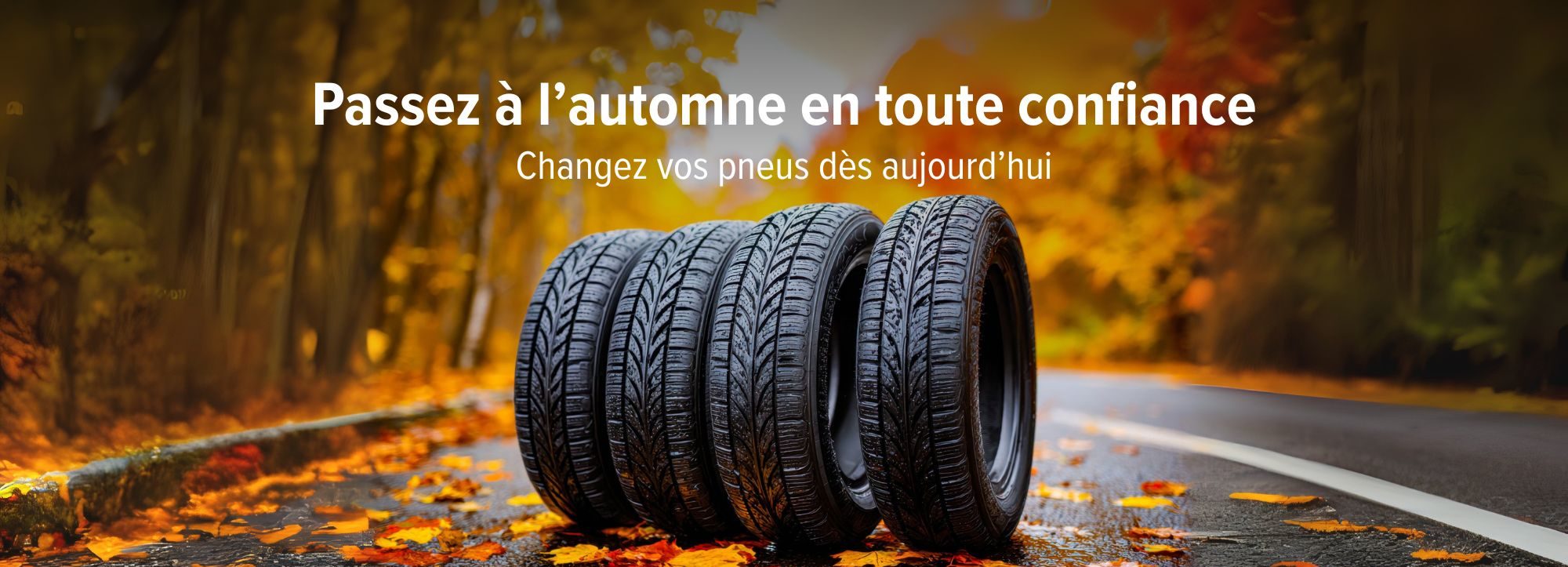 Banner – Autumn – CH-1656